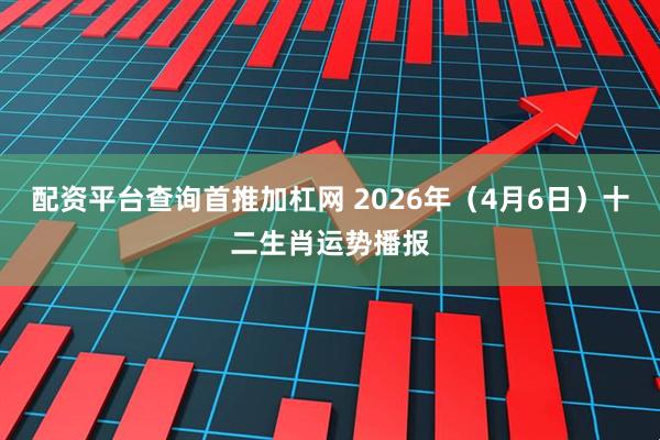 配资平台查询首推加杠网 2026年（4月6日）十二生肖运势播报